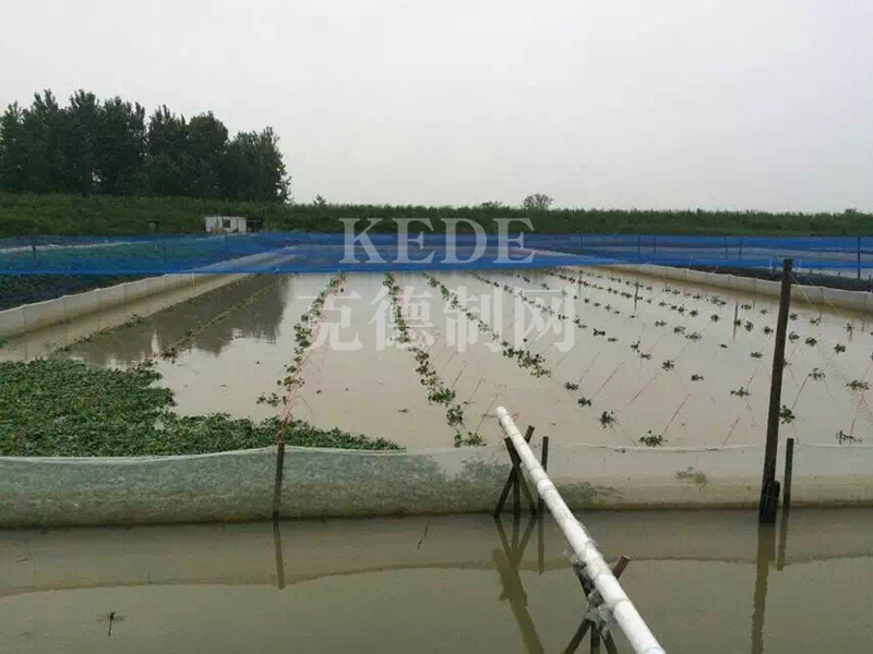 养殖防鸟网如何安装